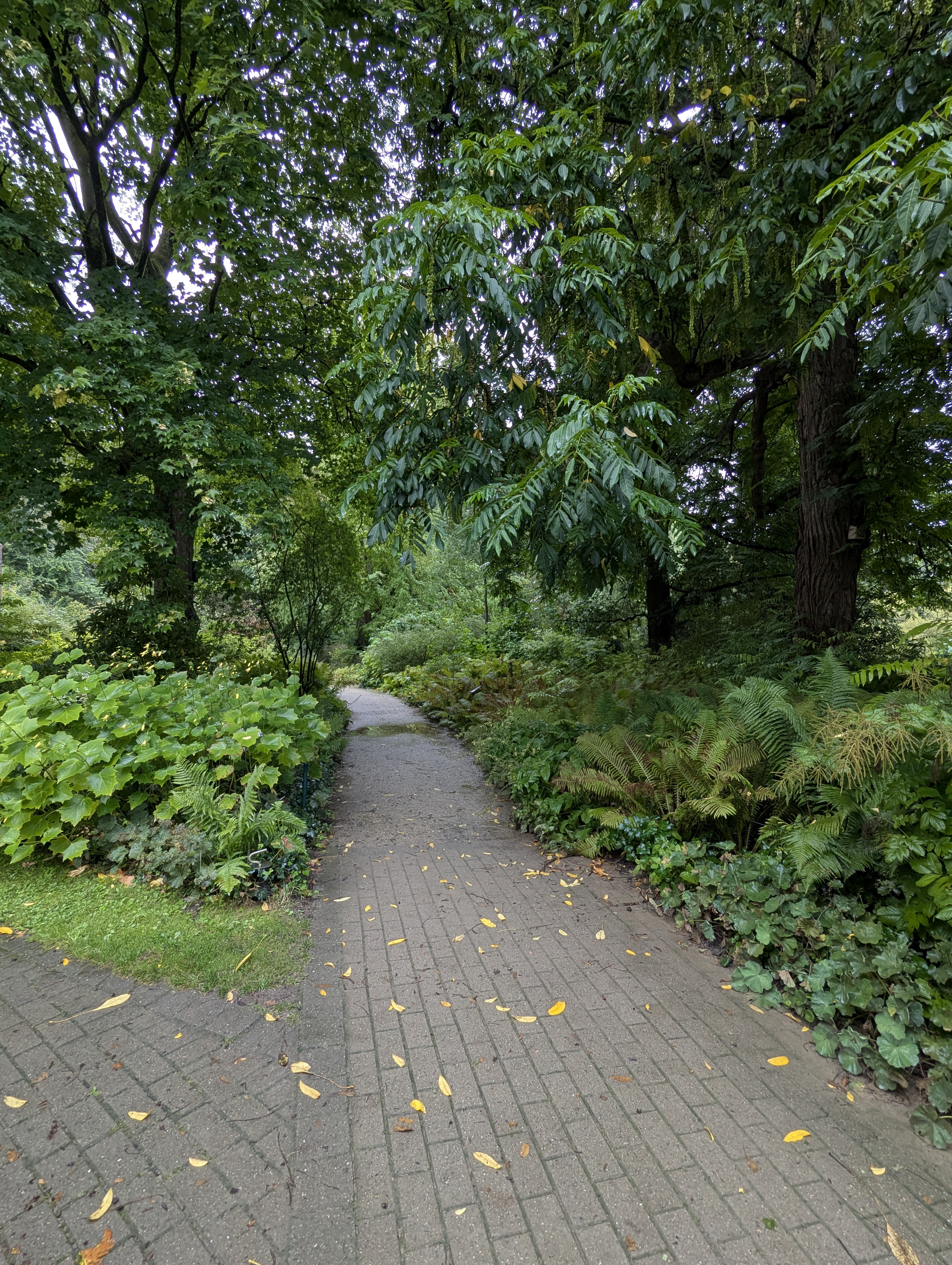 Botonic Gardens, Muenster, Germany